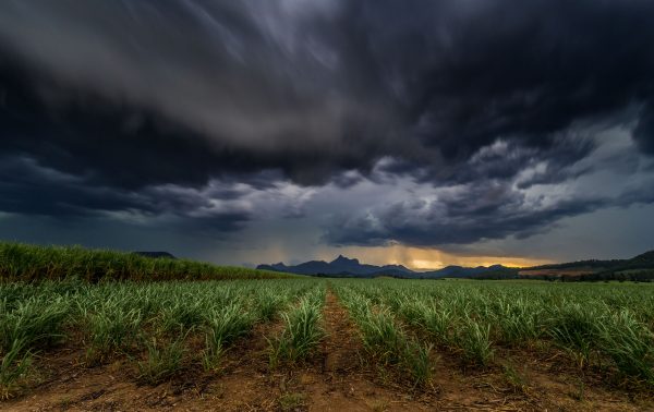 Storm clouds over the Cane Fields, tweed heas, murwillumbah