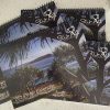 2024 Wall Calendar's